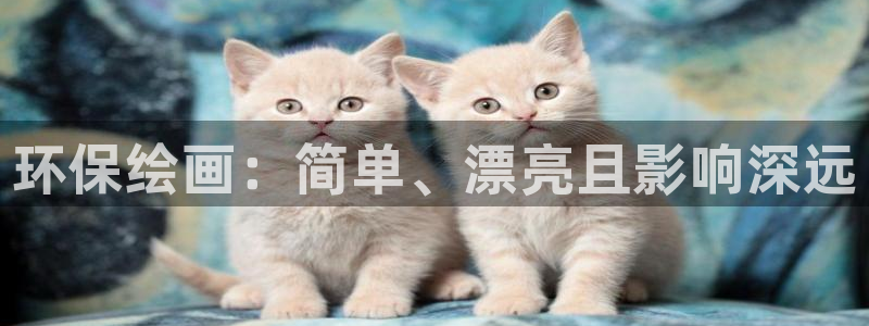jdb电子台湾黑熊