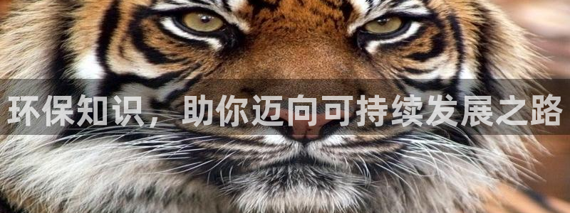 jdbcname