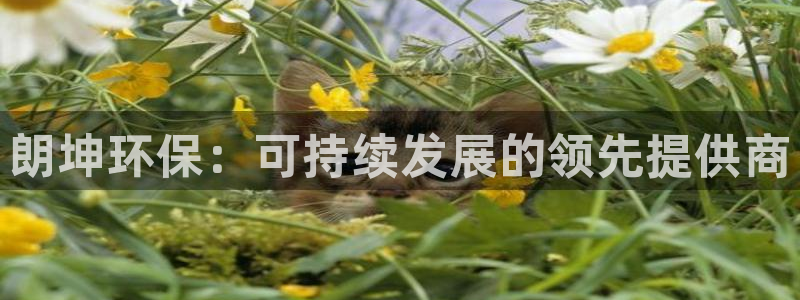 jdb电子爆奖视频开运夺宝
