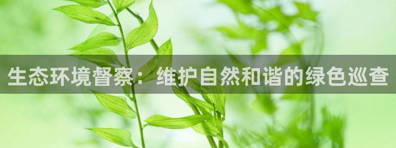 jdb游戏五龙捕鱼视频