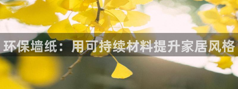 电子游戏平台jdb