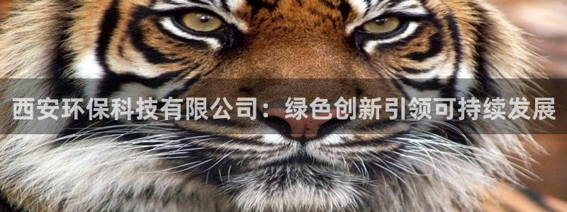 jdb电子爆率