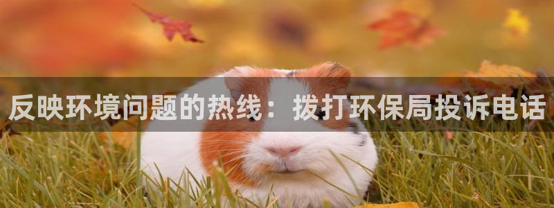 JDB电子官网平台