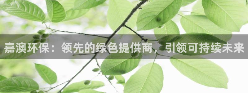 jdb电子平台入ly79,cn