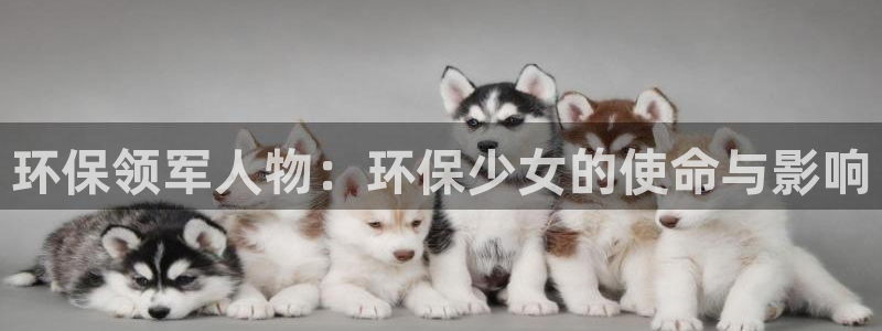 jdb夺宝游戏公司