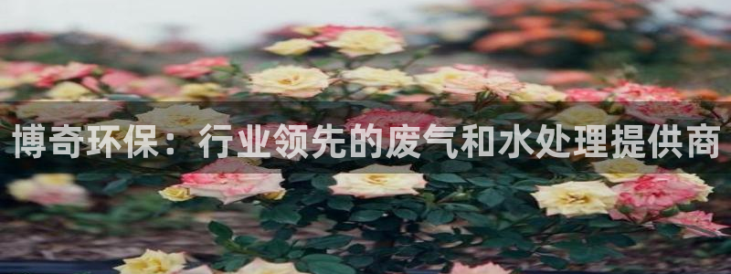 jdb中奖视频