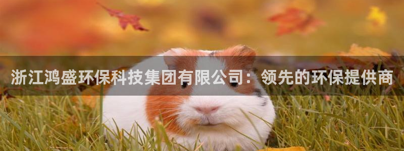 jdb电子是哪里开发的游戏
