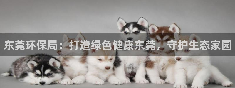 jdb台湾黑熊破解