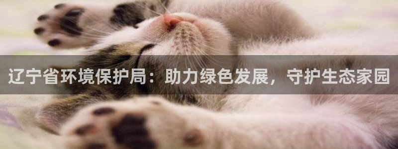 jdb台湾黑熊破解