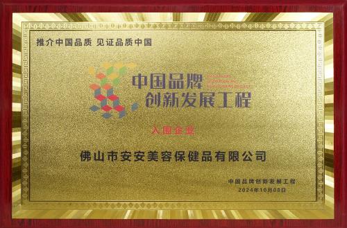 China Brand Innovation and Development Project
