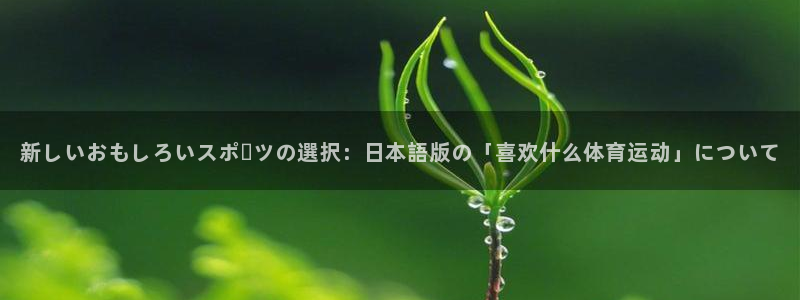 球客岛